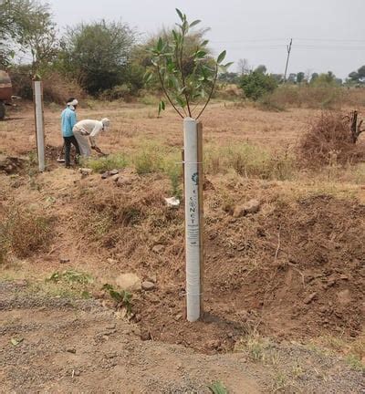 Econet: Pioneers in Eco-Friendly Tree Guards India | Econet