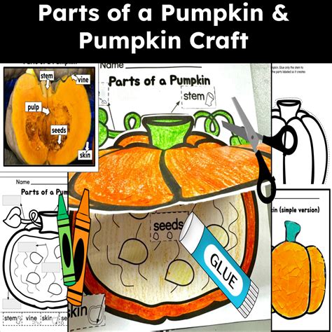 Pumpkin Craft + Parts of a Pumpkin - Classful