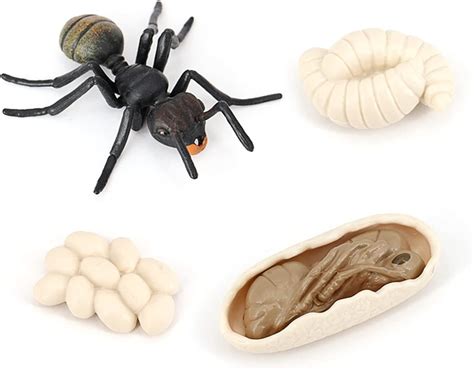 Buy UNNIC Simulation Ants Animal Life ,Insect Growth Life Educational ...