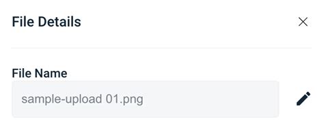 How to Check a File Name 的图像结果