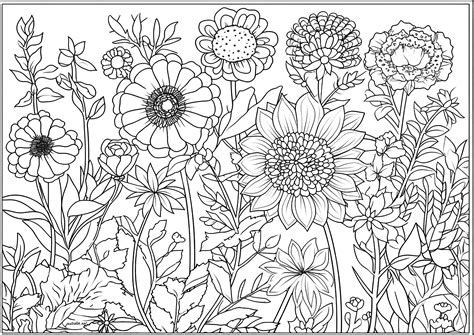 Adult Coloring Pages: Find Serenity in Floral Designs
