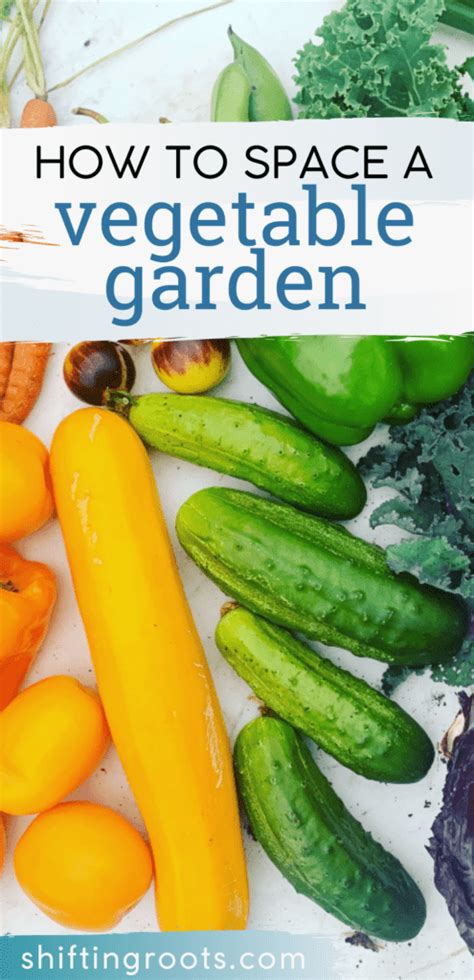 Space Between Plants 的图像结果