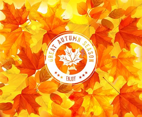 Image result for Fall Design Vector
