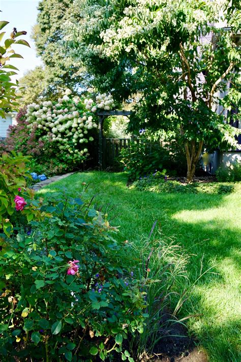 7 Fast-Growing Trees for Privacy in Massachusetts
