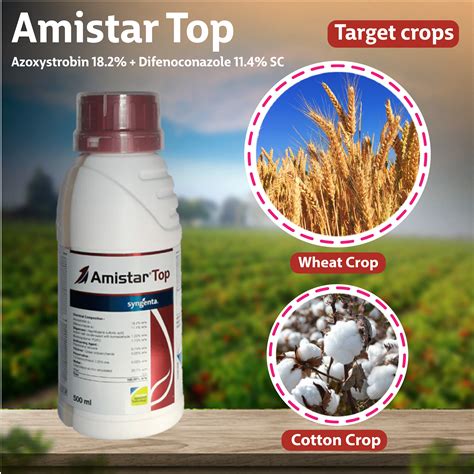 Syngenta Amistar Top Fungicide – Agriplex