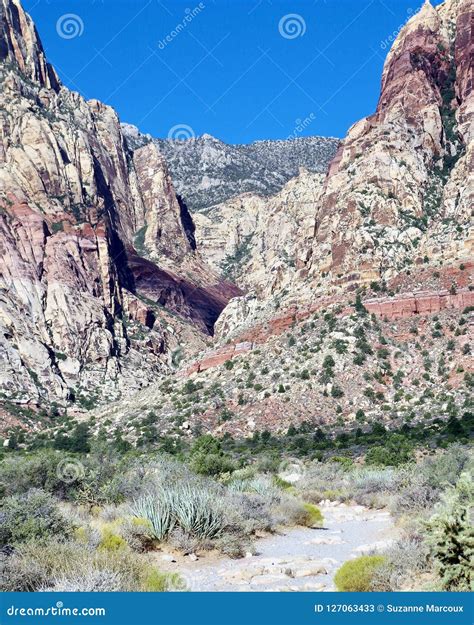 First Creek Trail, Red Rock National Conservation Area, Nevada Stock ...