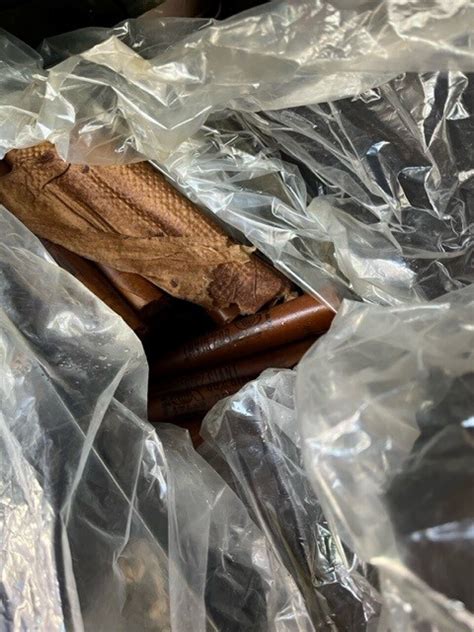 Worst Dynamite Explosion 的图像结果