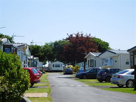 Town Script Pastebin 的图像结果