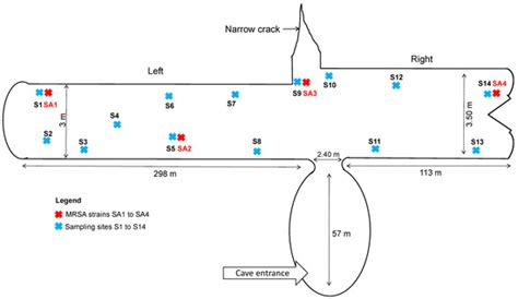 Microorganisms | Special Issue : Wild Animal Pathogens and ...
