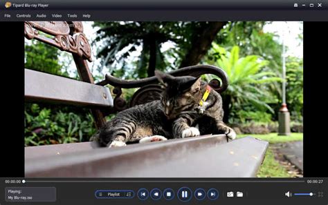 Image result for How to Use ISO Files On PC