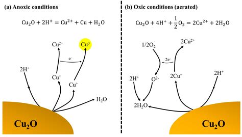 Improvement of Copper Metal Leaching in Sulfuric Acid Solution by ...