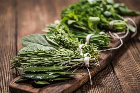 40 Facts About Herbs - OhMyFacts