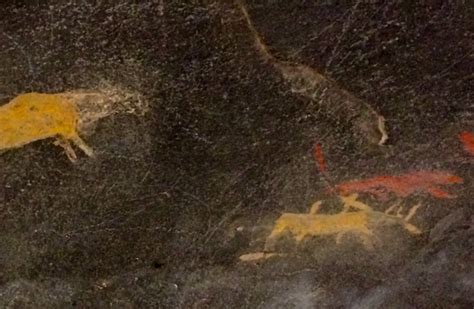 BUSHMEN ART AT SCHAAPLAATS FARM (2025) All You Need to Know BEFORE You ...