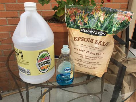 How to Make DIY Weed Killer (Only 3 Ingredients!) - The Kitchen Garten