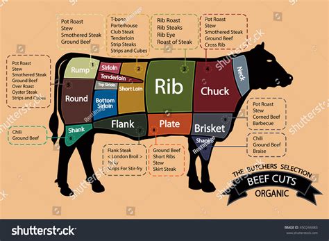 Skirt Steak Diagram