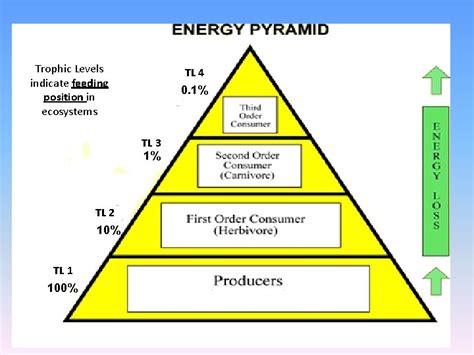 Examples of Energy Flow 的图像结果