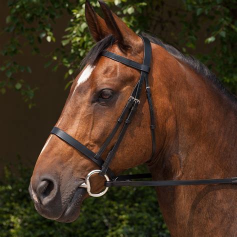 Requisite Snaffle Bridle - Bridles - Bridlework - Saddles & Tack ...
