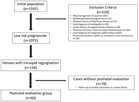 Isolated Mild Fetal Tricuspid Regurgitation in Low-Risk Pregnancies: An ...