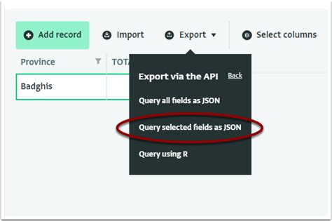 API Query 的图像结果