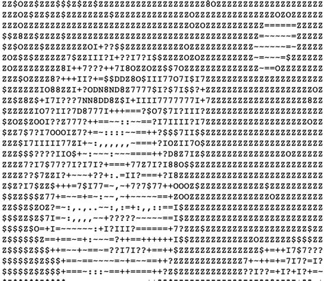 Image result for Codes in Programming Portrait