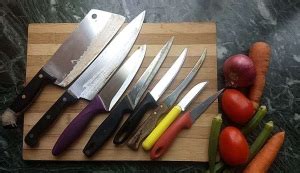 A cook and her cleaver do never part | The Cybernag