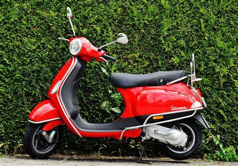 Moped vs Scooter: Difference and Comparison