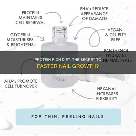 Protein Nail Growth
