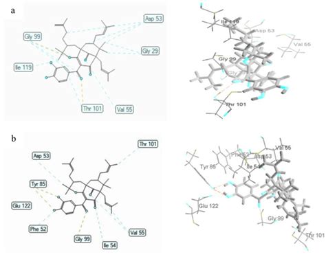 Biological Activity Evaluation and In Silico Studies of Polyprenylated ...