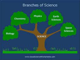 Branches of Science 的图像结果