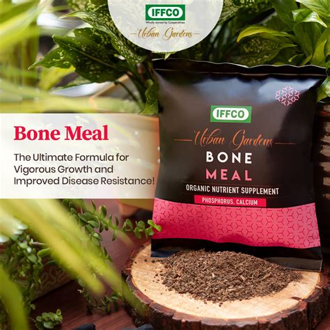 Bone Meal (for Phosphorus) – Garden Up