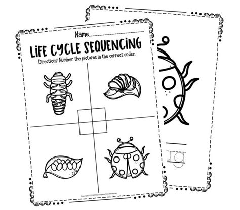 Image result for Ladybug Life Cycle Printable