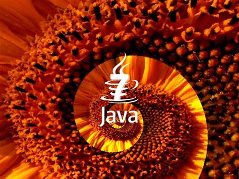 Java Exploit 的图像结果