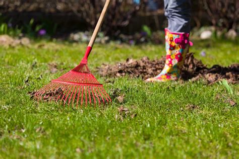 Image result for Spring Clean Up