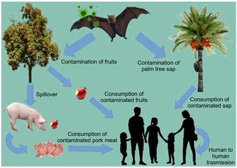 Pathogens | November 2022 - Browse Articles