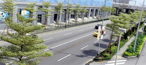 UNIQUE TREES - Outdoor Luxury