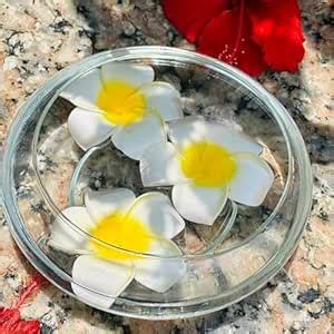 Vistara Homes Hub Crystal Clear Glass Fish Bowl Or Urli Bowl Terrarium ...