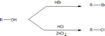 Image result for Sample Image for HTML