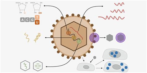 Image result for Virus Scanning Electron Microscope