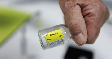 What Belgium’s increase in euthanasia cases says about legalising ...