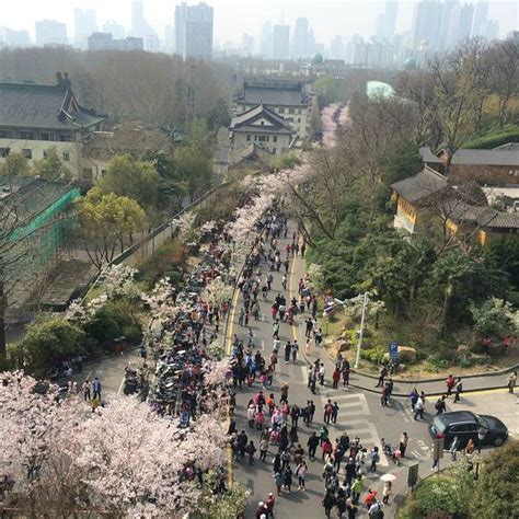 南京「鸡鸣寺」是一个什么景点，有什么吸引人的地方和历史典故？ - 知乎