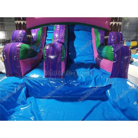 Image result for Advert Inflatable Water Slide Pool