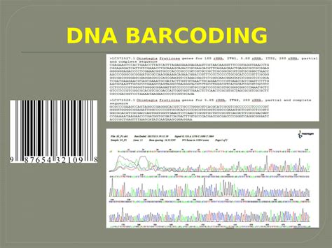 Image result for DNA Barcoding Methods