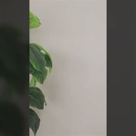 Artistic Themed Props – Madras Prop Store