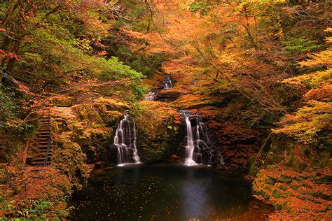 赤目四十八滝 紅葉