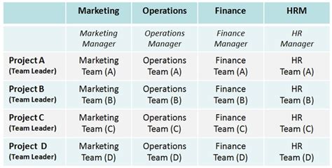 Image result for Project and Matrix Structures