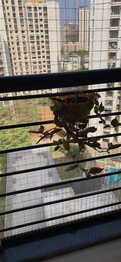 Garden Wall Hanging Planter, Wall Mount Hanging Pot/Indoor Plants Pot ...