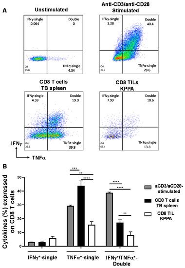 Deletion of p53 and Hyper-Activation of PIK3CA in Keratin-15+ Stem ...