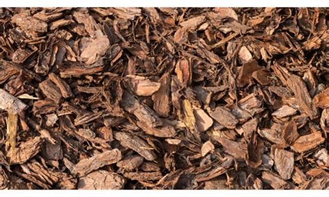 Image result for How to Color Mulch