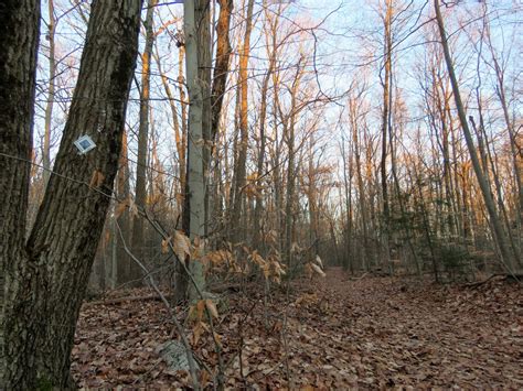 Gone Hikin': Wawayanda State Park, NJ - Pinwheel Vista and Wawayanda ...