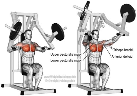 Machine chest press exercise instructions and video | WeightTraining ...
